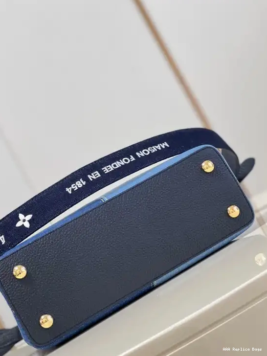 Aaa replica bags VUITTON CAPUCINES MM LOUIS 0613
